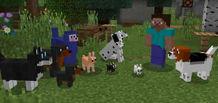 Превью для «Аддон на собак для Minecraft 1.5 / 1.6»