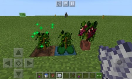 Растения в Minecraft