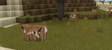 Новые животные в Minecraft PE