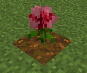 Цветок Роза в Майнкрафт ПЕ