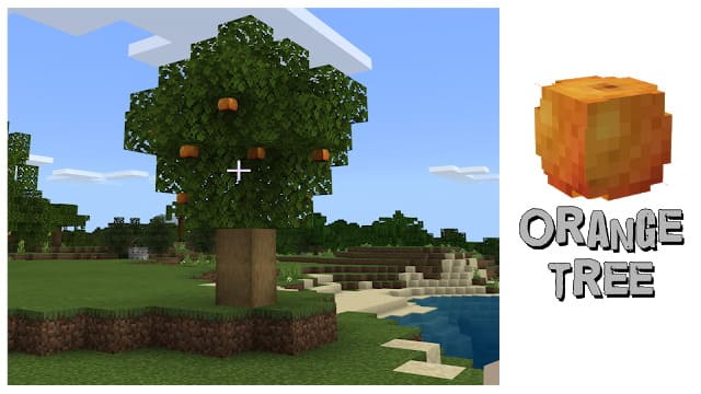 Апельсиновое дерево в Майнкрафт ПЕ