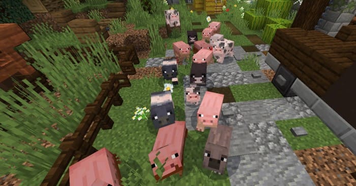 Новые свиньи в Майнкрафт ПЕ (Бедрок)