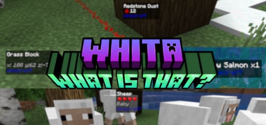 Скачать Мод на WHITA | What is That? Compatible в Minecraft PE (Bedrock)