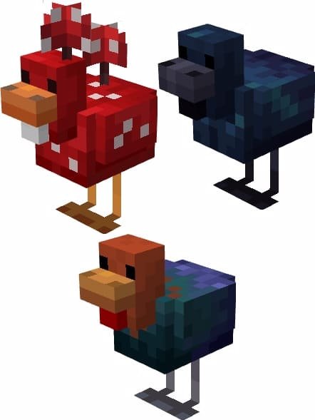 Вариации куриц из мода Разнообразные сельскохозяйственные животные для Майнкрафт ПЕ (Бедрок)
