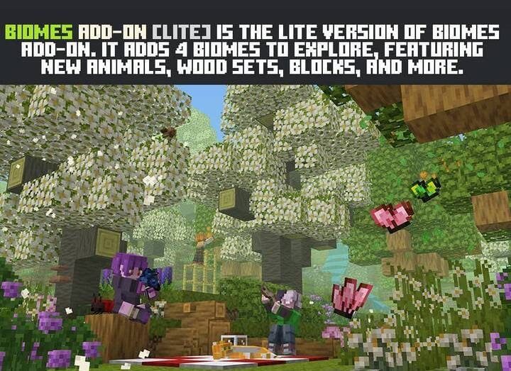 Новые биомы в Minecraft PE (Bedrock)