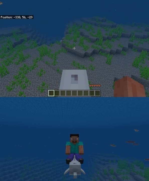 Катание на дельфине в Minecraft PE (Bedrock)