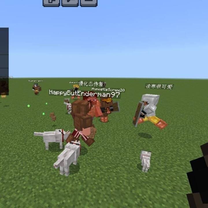 Группа офлайн-игроков в Minecraft PE (Bedrock)