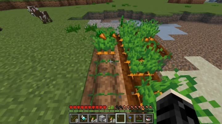 Ферма с поддерживаемыми культурами в Майнкрафт ПЕ (Бедрок)