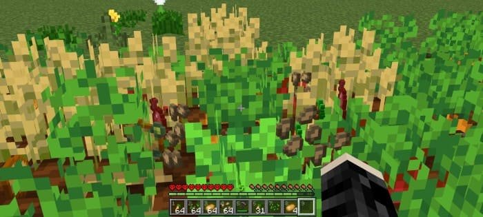 Процесс быстрого сбора пшеницы одним кликом в Minecraft PE (Bedrock)