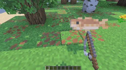 Демонстрация пойманной живой рыбы на берегу в Майнкрафт ПЕ (Бедрок)