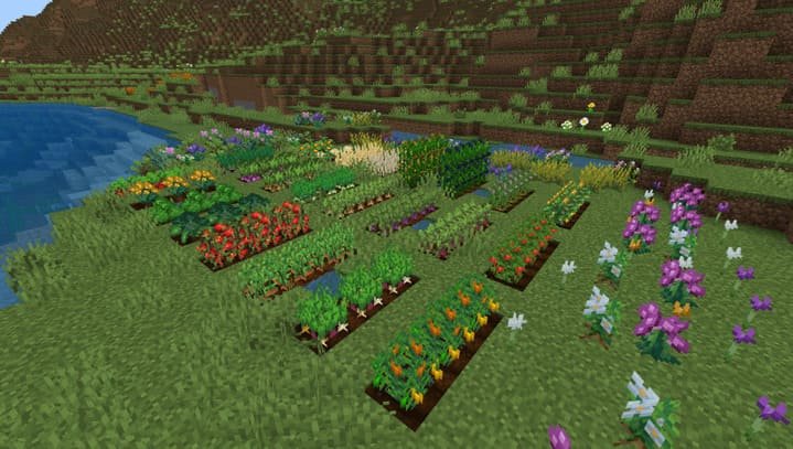 Новые культуры и растения из мода Много новой еды для Minecraft PE (Bedrock)