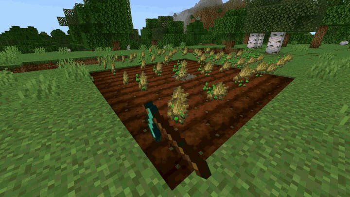 Быстрая добыча урожая мотыгой в Minecraft PE (Bedrock)